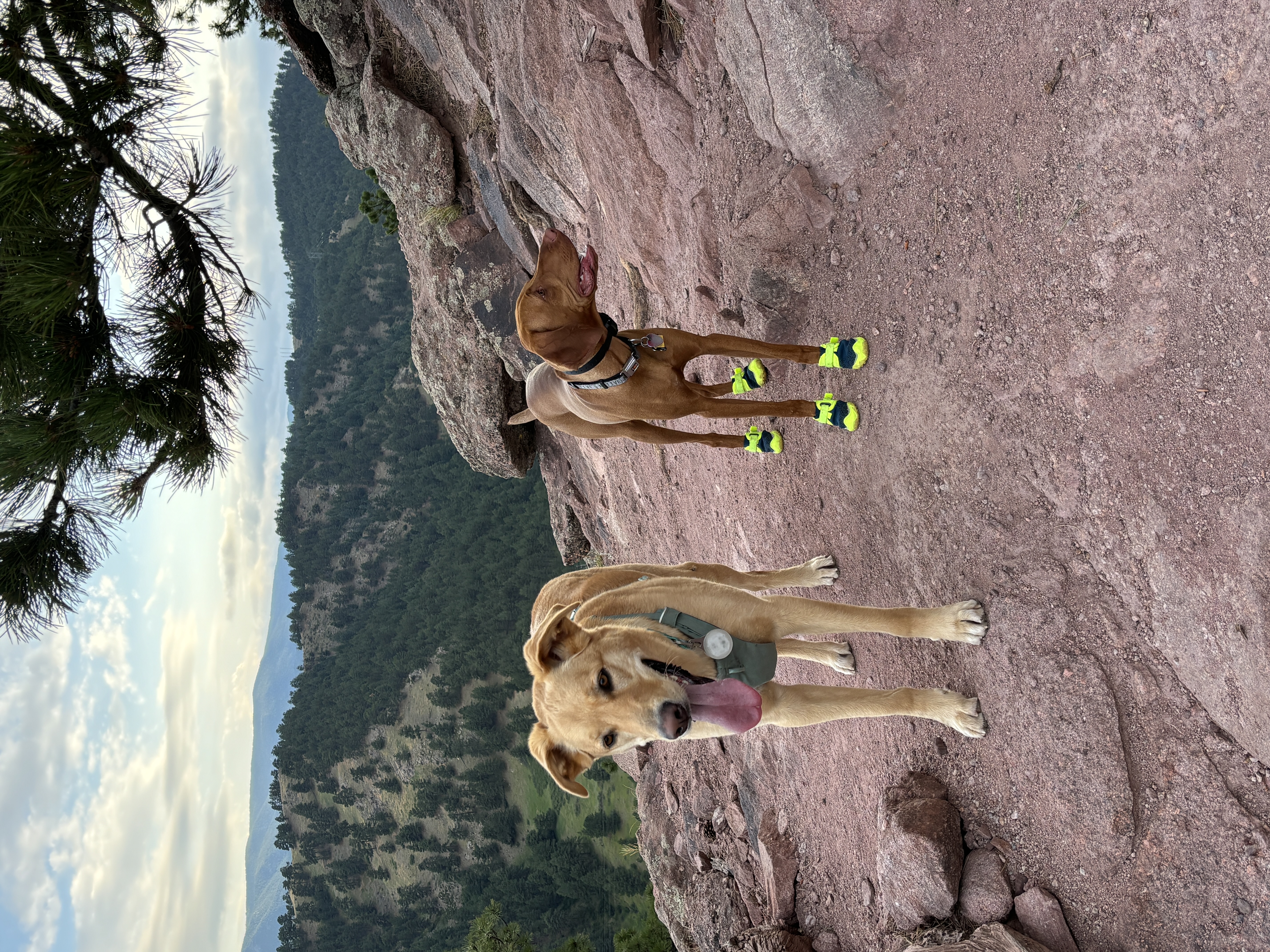 Laszlo's outdoor moments