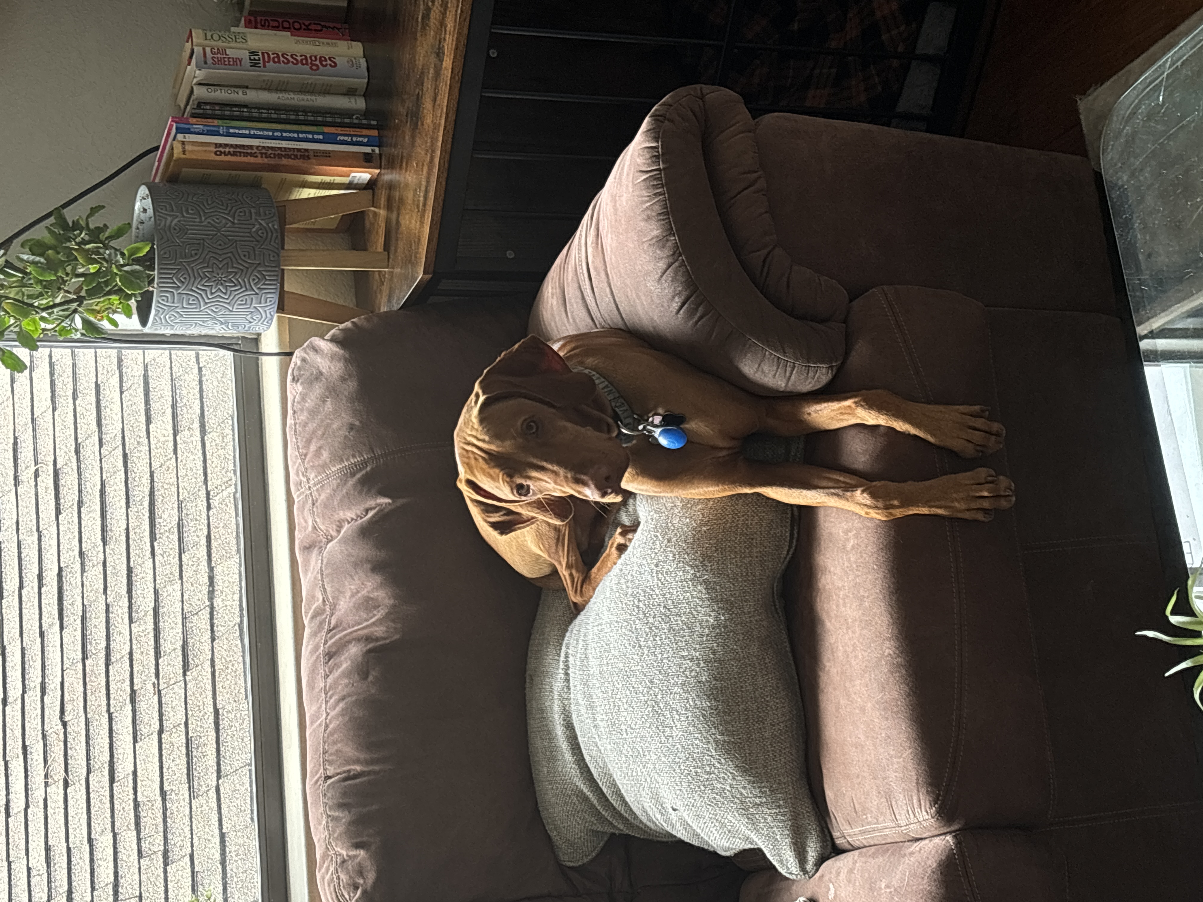 Laszlo's personality