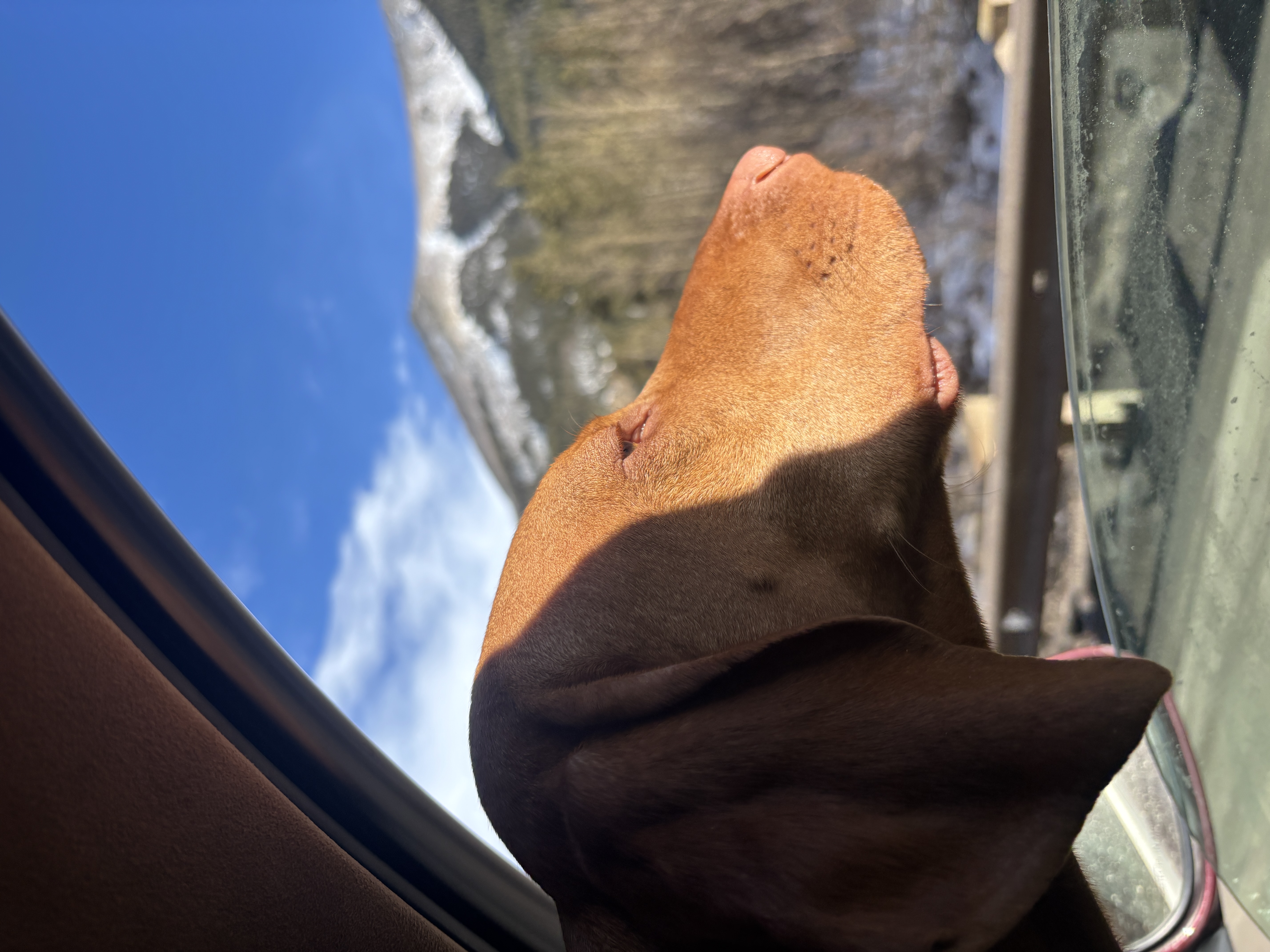 Laszlo's personality